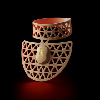 Feather Neck Mask - luminanrg